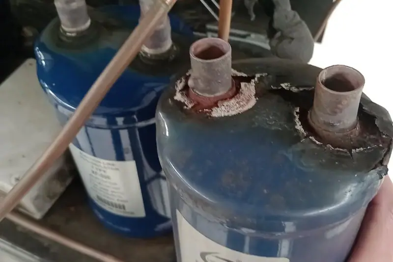 Preventivo Cámara Congelados — limpieza