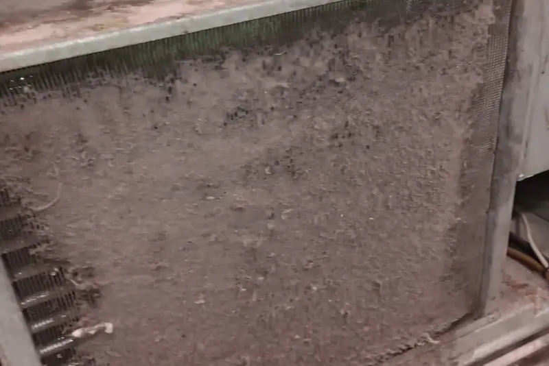 Abatidor Industrial Gastronómico