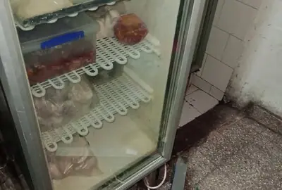 Reparación y service